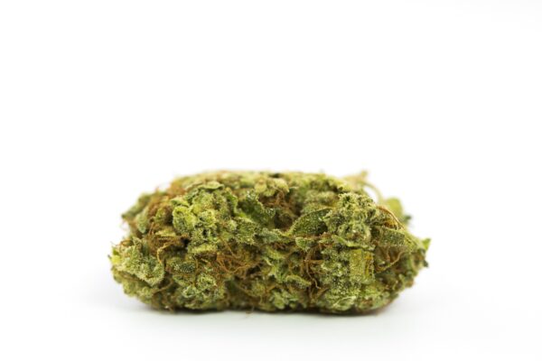 ACDC Marijuana Strain