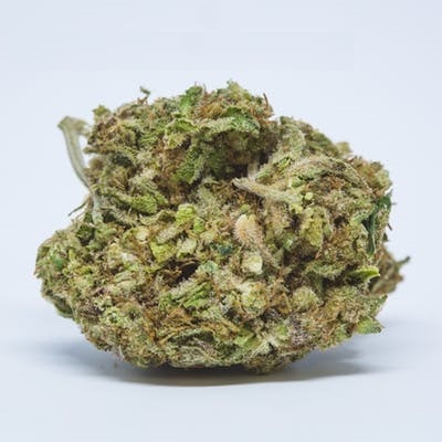 Agent Orange Marijuana Strain