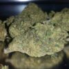 ACDC Marijuana Strain